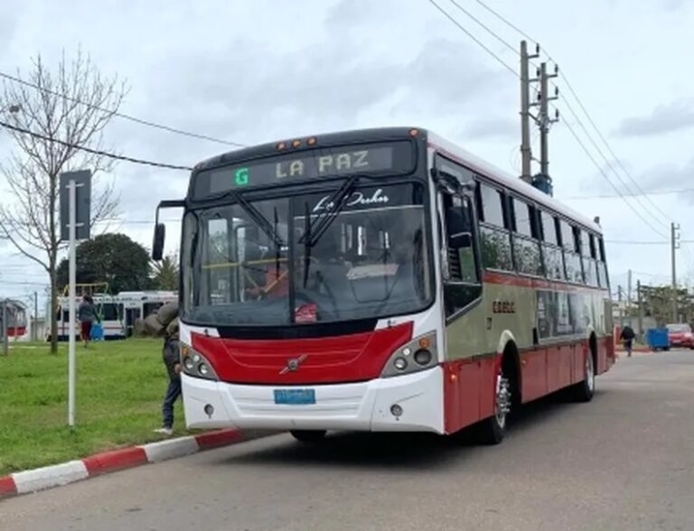 Transporte
